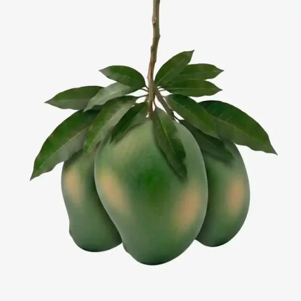 আম্রপালি আম