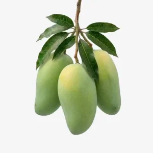 langra-mango